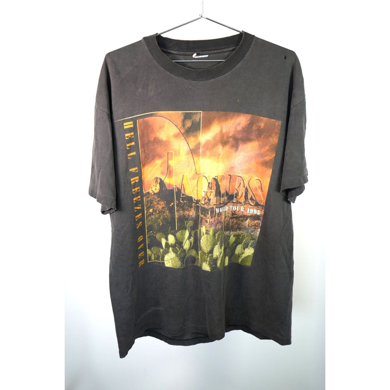Eagles Hell Freezes Over 1995 ツアーTシャツ The Eagles Hell Freezes Over World Tour Vintage Shirt '95