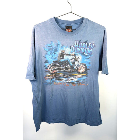 "Retail" Vintage Harley-Davidson Ridin' Out The Storm Fort Wayne, IND Tee Shirt Blue XL